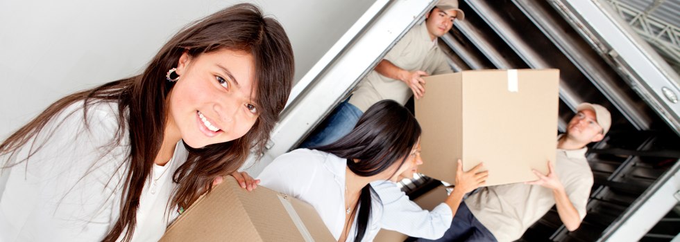 Professional Removalists Forest Grove NSW